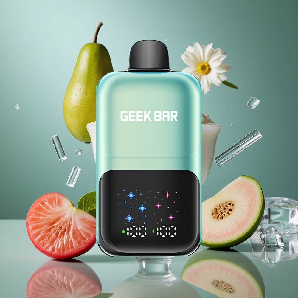 GEEK BAR 2GO 50000회 쿨 민트 아이스